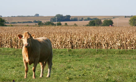 Vignette de production en Nouvelle Aquitaine