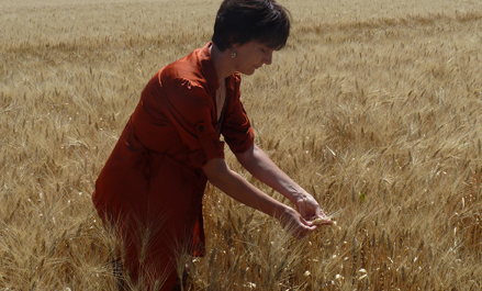 Vignette production région Occitanie