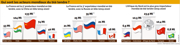 Les principaux acteurs mondiaux sur le marché du blé tendre.
