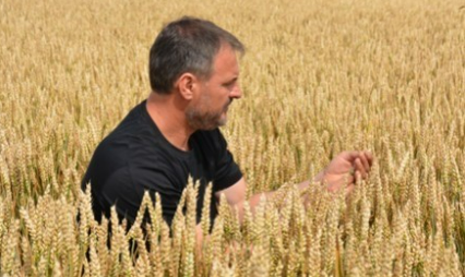 La production dans la région grand est