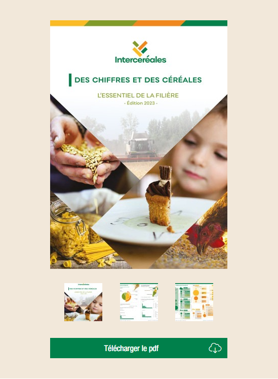 Chiffres clés 2023