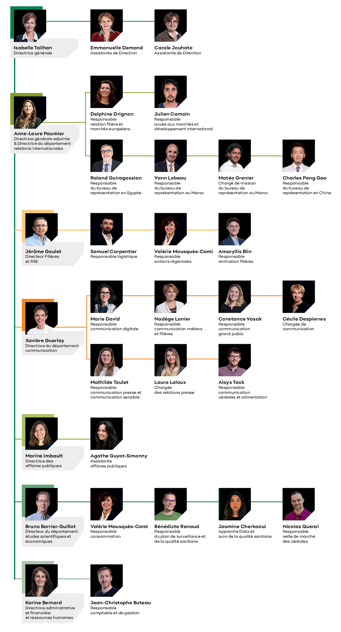 Organigramme équipe Intercéréales
