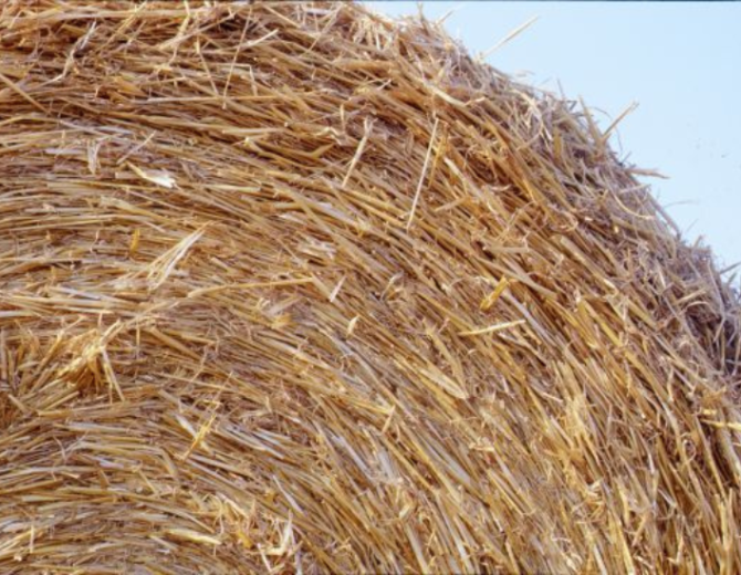 Biomateriaux à base de cereales _ la paille