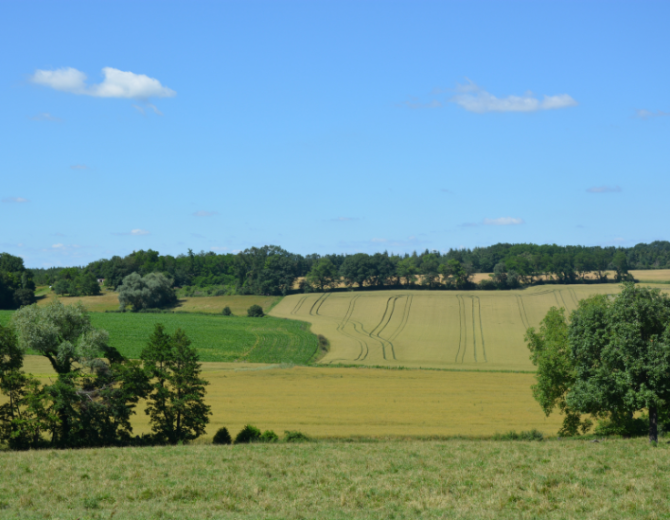 Intercéréales Paysages et champs orge/triticale/avoine en Auvergne-Rhône-Alpes