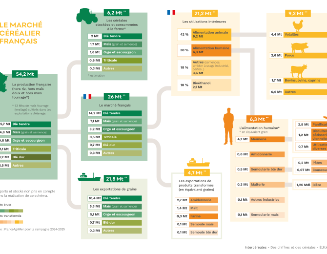 le marché des céréales françaises en chiffres