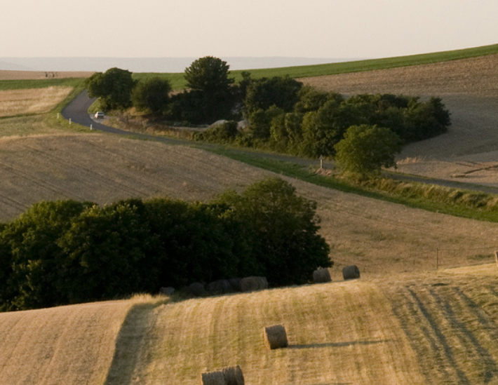 Paysage céréalier de Bourgogne-Franche-Comté