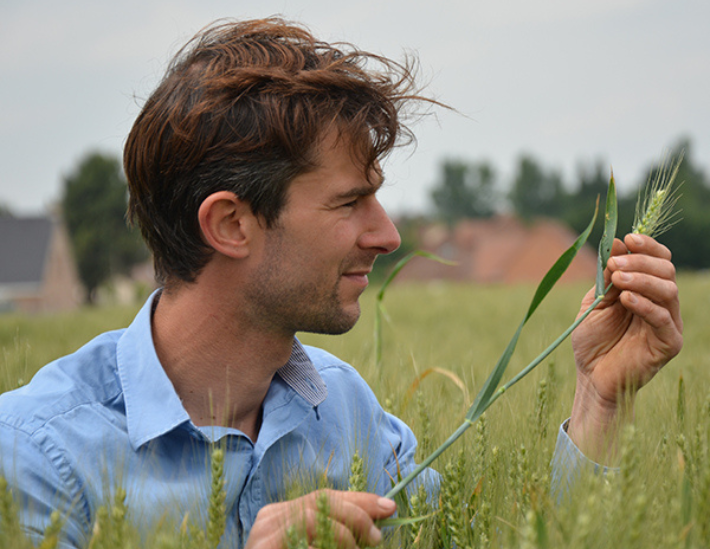 Agriculteur dans son champ