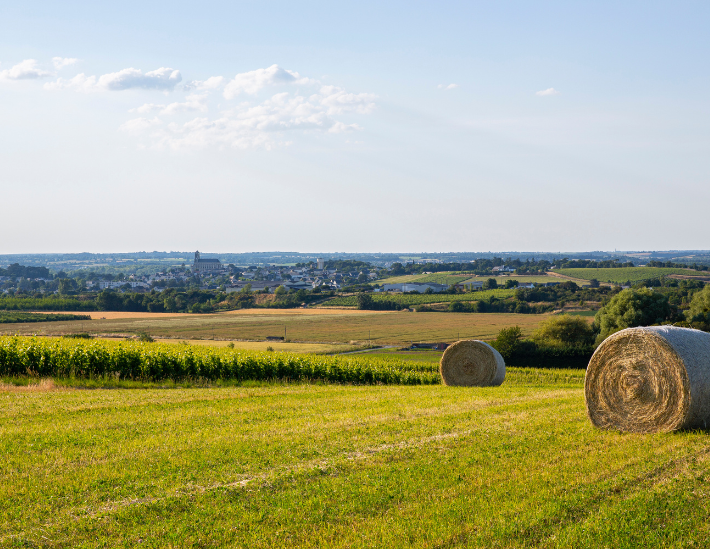 Les céréales dans les Pays de la Loire