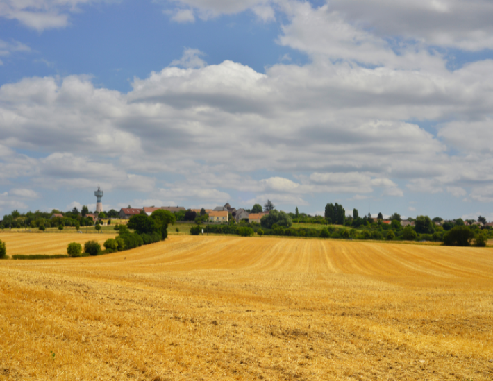 Les céréales en Ile-de-France