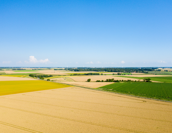 Les céréales en Normandie