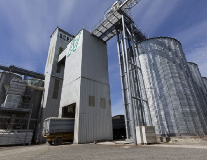 silo commercialisation grains