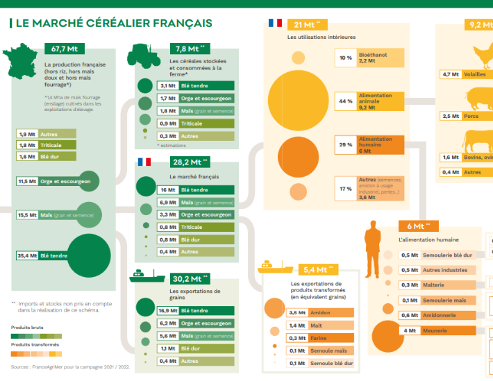 marché cereales france