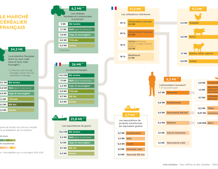 le marché des céréales françaises en chiffres