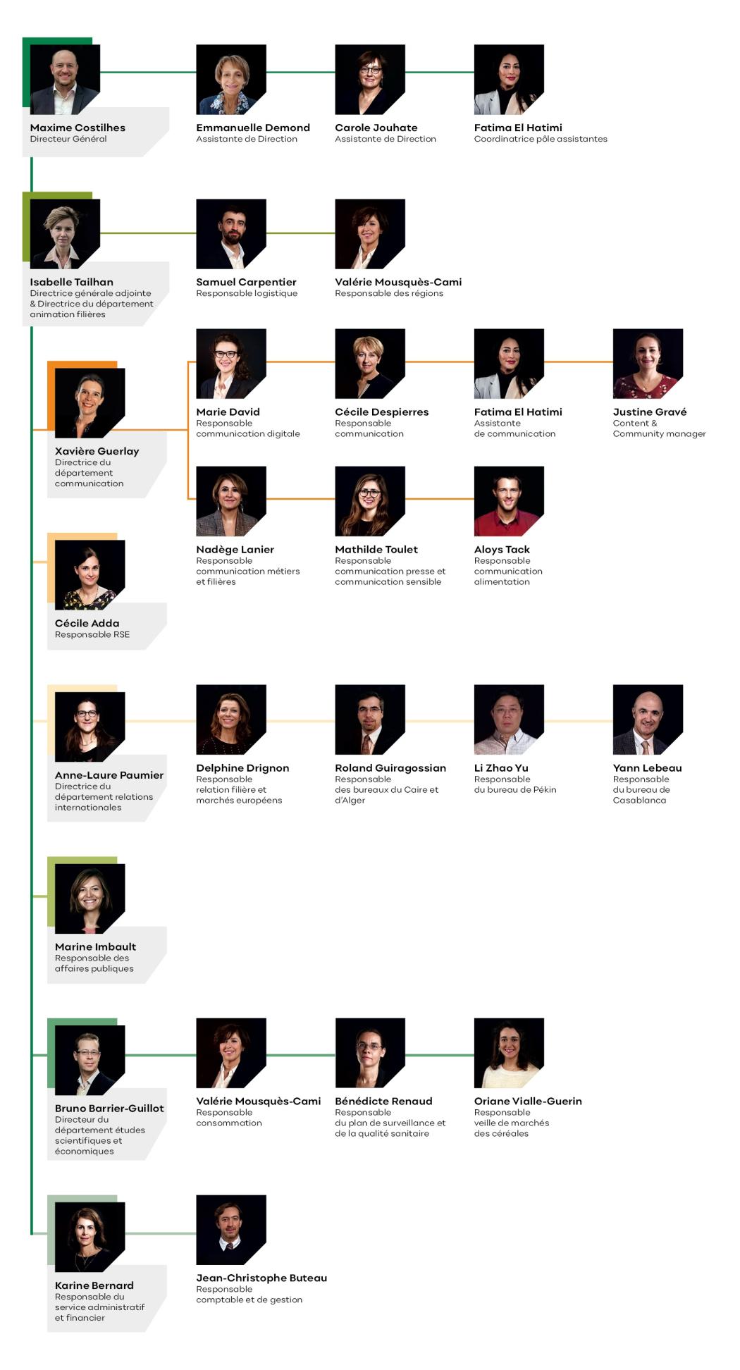 Organigramme équipe Intercéréales