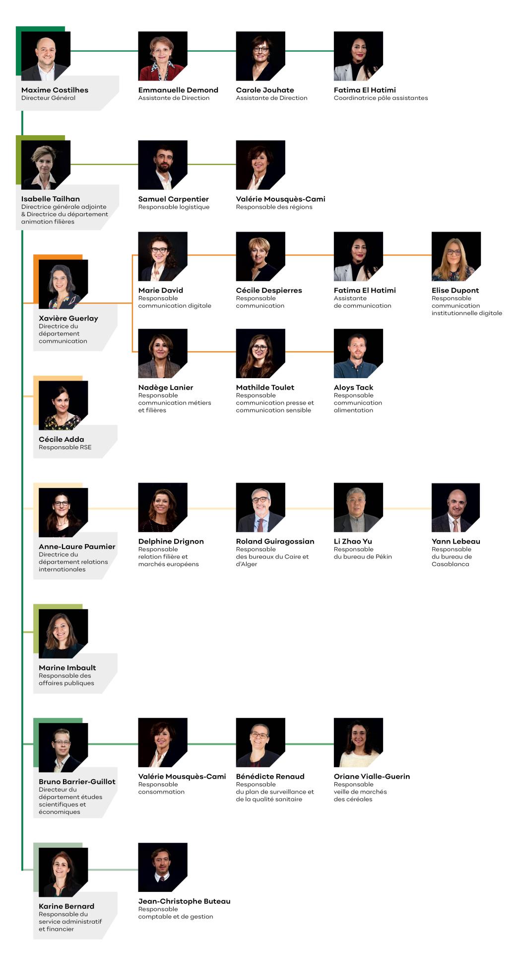 Organigramme équipe Intercéréales