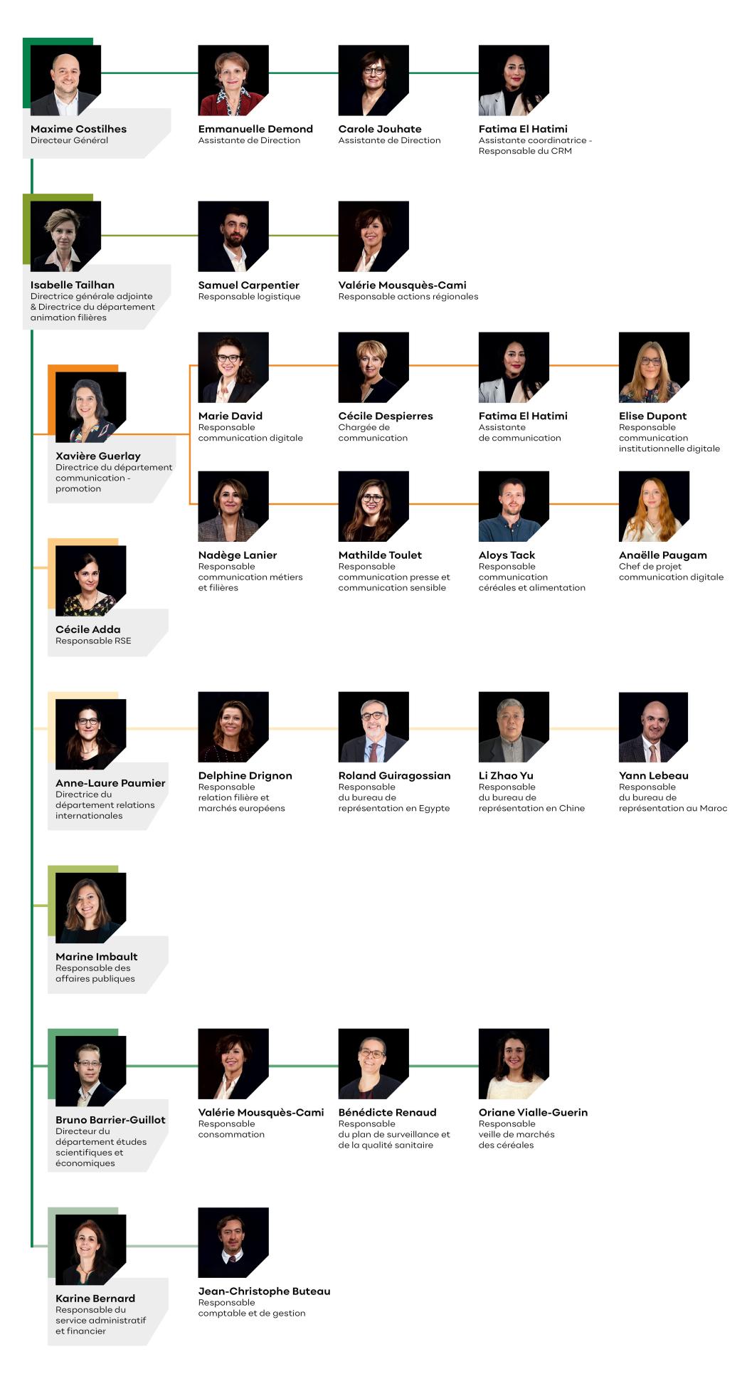 Organigramme Equipe Intercéréales
